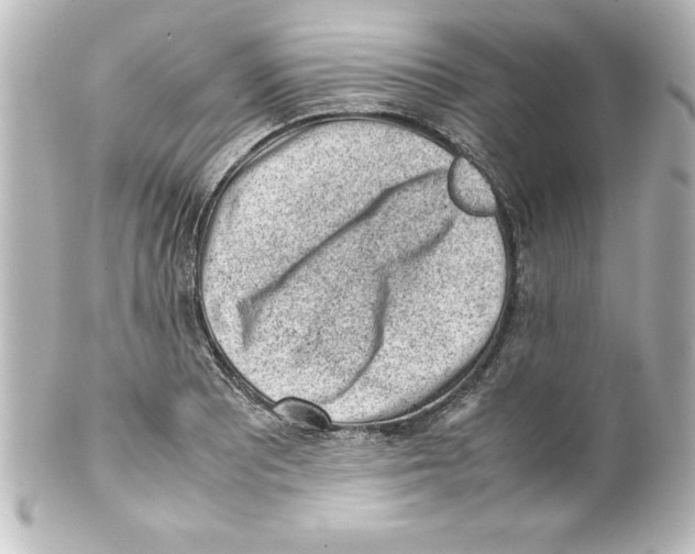 X0000100191081200806271613
