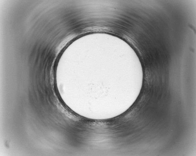 X0000100191082200806271613