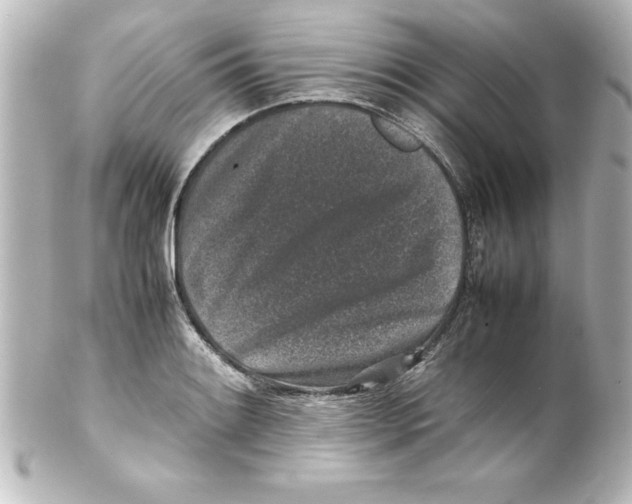 X0000100191084200806271613