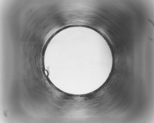 X0000100191085200806271613