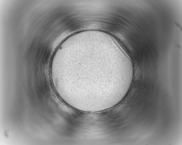 X0000100191086200806271613