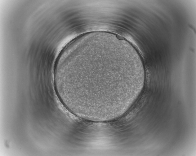 X0000100191088200806271613