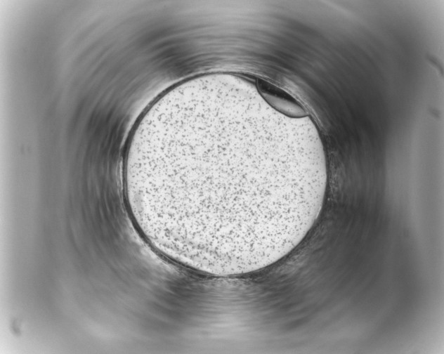 X0000100191092200806271613