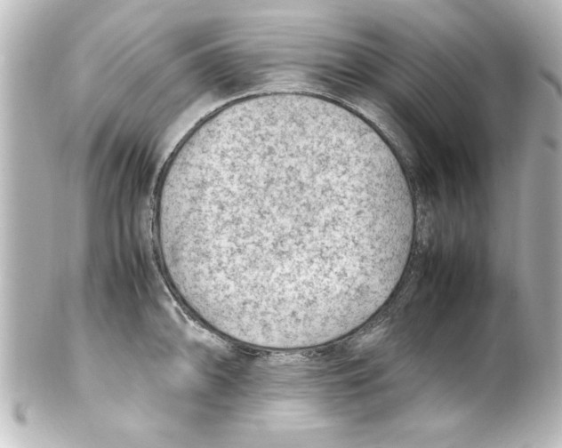 X0000100191094200806271613