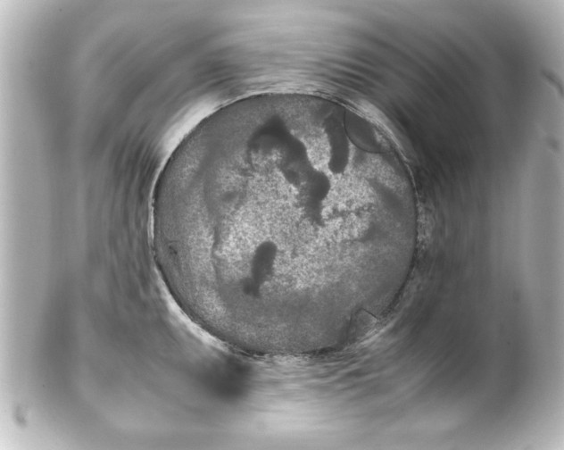 X0000100191095200806271613