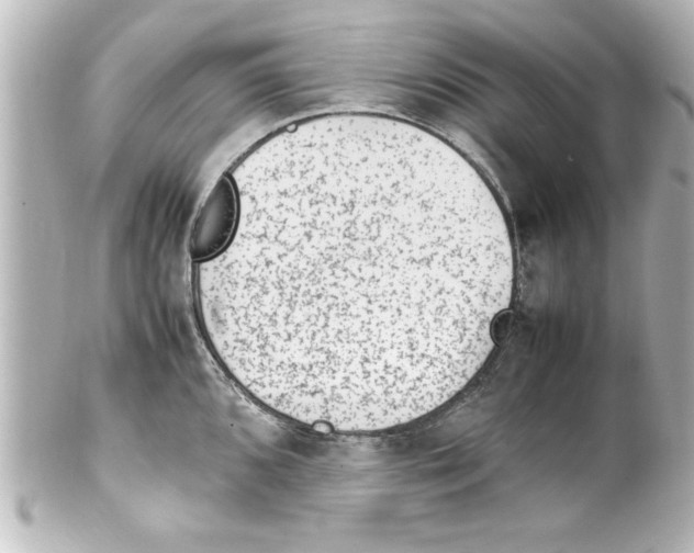 X0000100191096200806271613