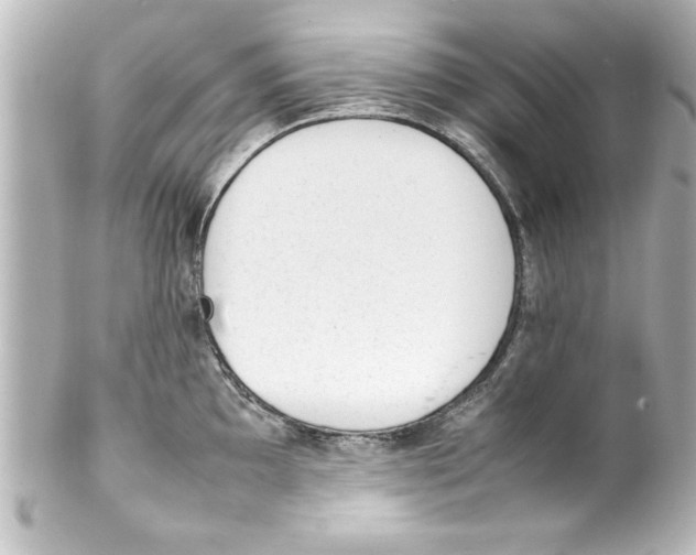 X0000100191097200806271613