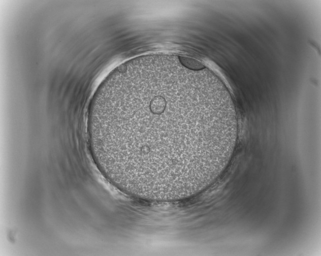 X0000100191099200806271613