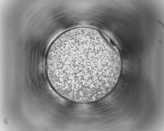 X0000100191100200806271613