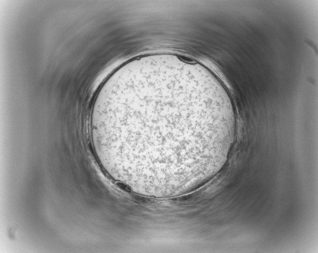 X0000100191101200806271613