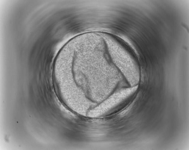 X0000100191102200806271613