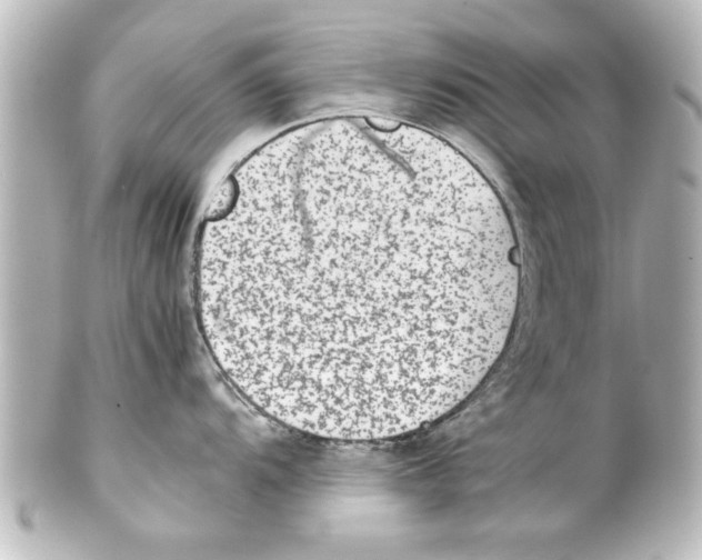 X0000100191104200806271613