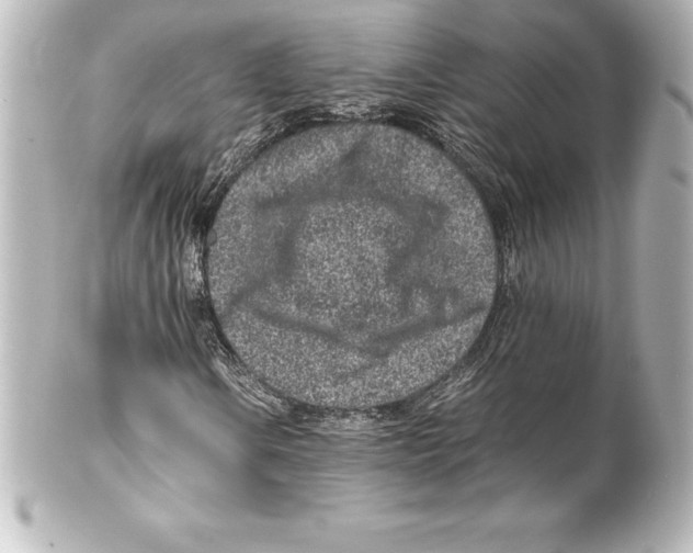 X0000100191106200806271612