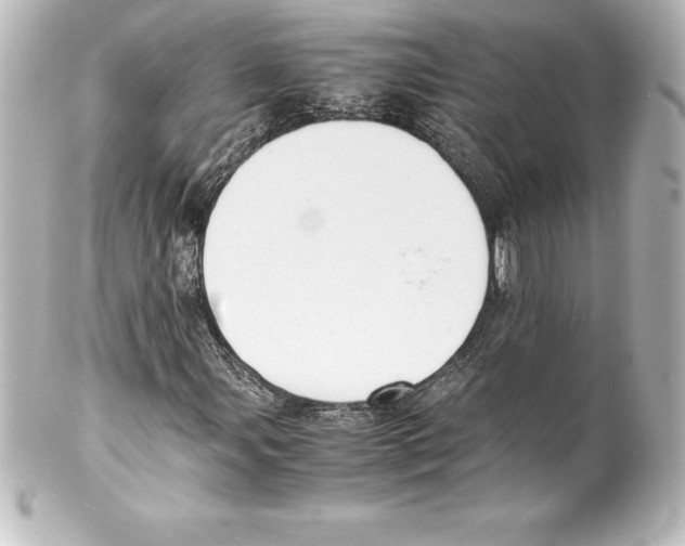 X0000100191107200806271612
