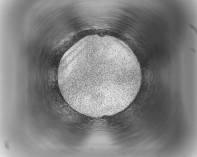 X0000100191110200806271612