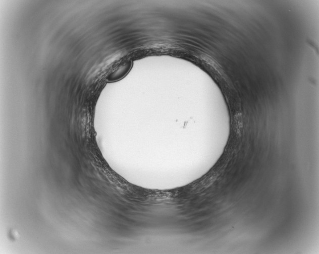 X0000100191111200806271612