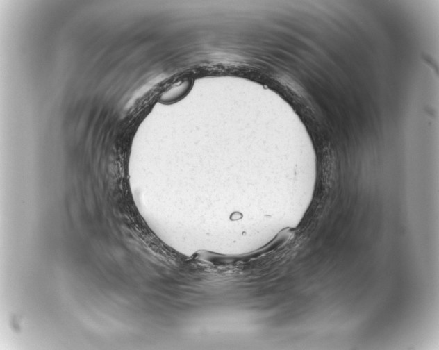 X0000100191112200806271612