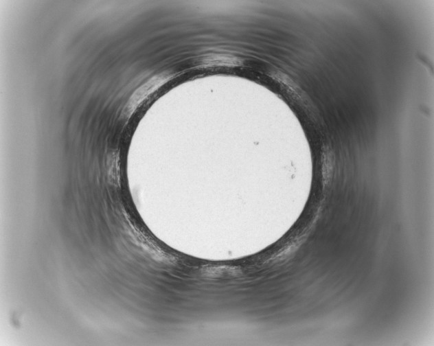 X0000100191113200806271612
