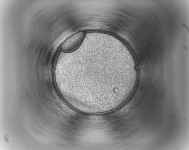 X0000100191114200806271612