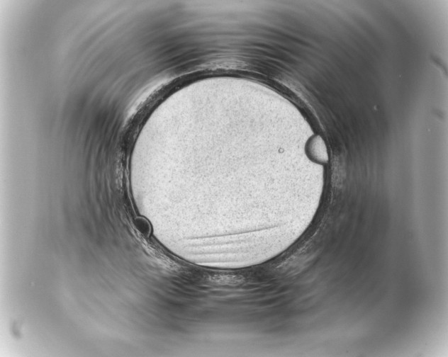 X0000100191115200806271612