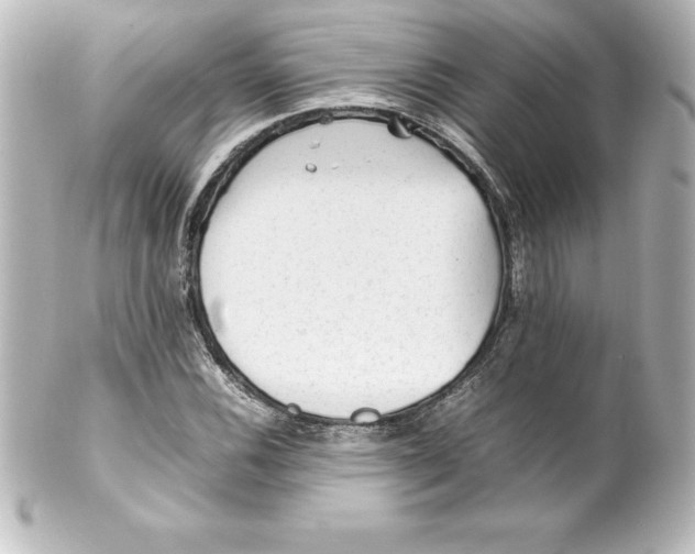 X0000100191116200806271612