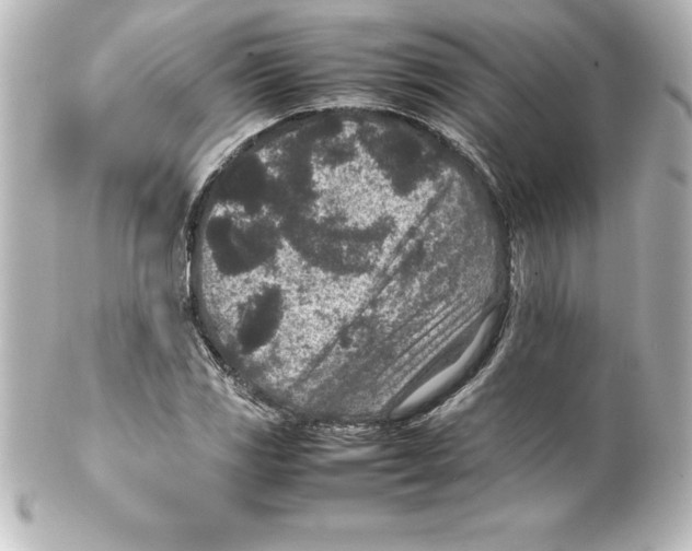 X0000100191117200806271612