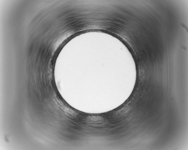 X0000100191119200806271612