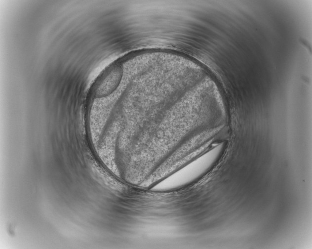 X0000100191120200806271612
