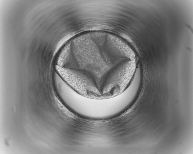 X0000100191122200806271612