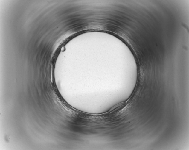 X0000100191123200806271612