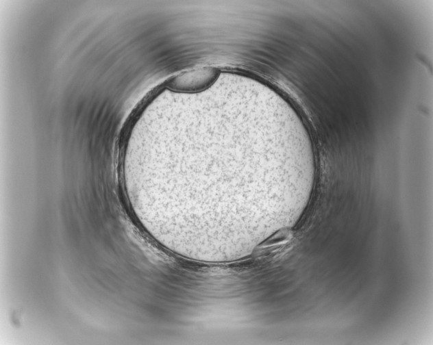 X0000100191124200806271612