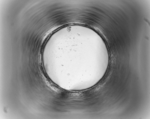 X0000100191125200806271612