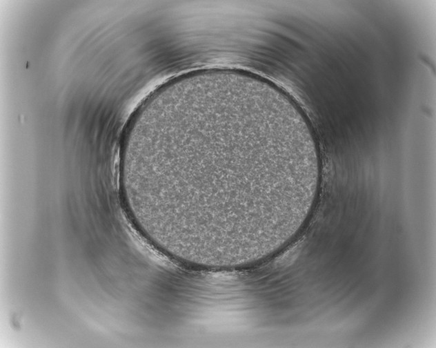X0000100191126200806271612