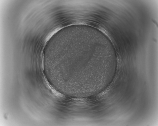 X0000100191127200806271612