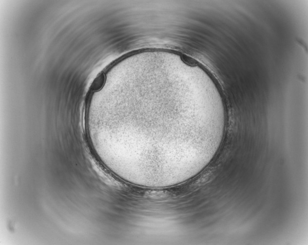 X0000100191128200806271612