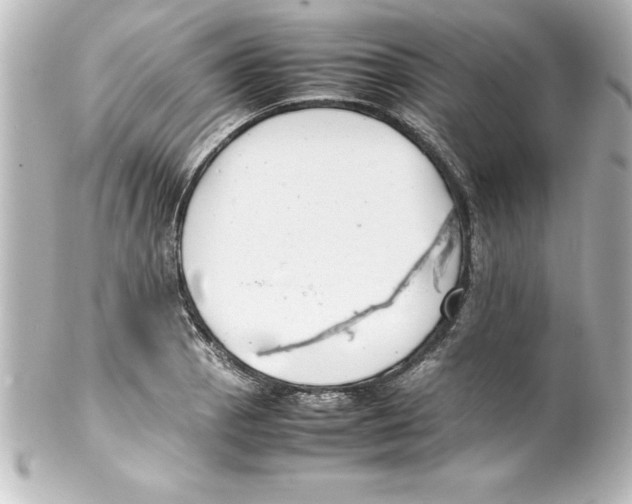 X0000100191129200806271612