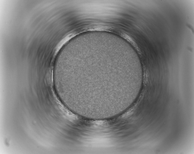 X0000100191130200806271612