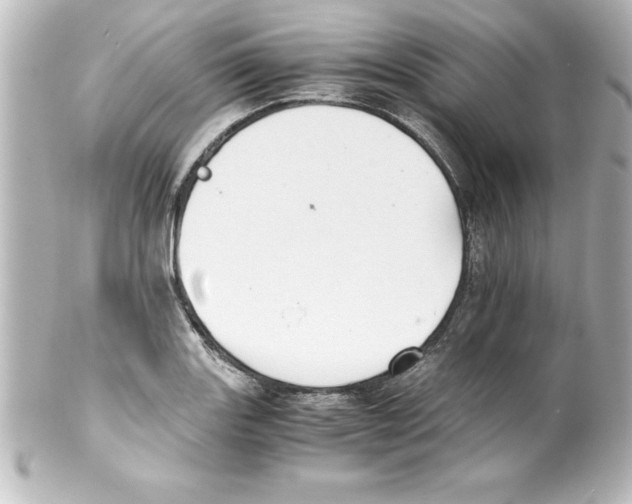 X0000100191131200806271612