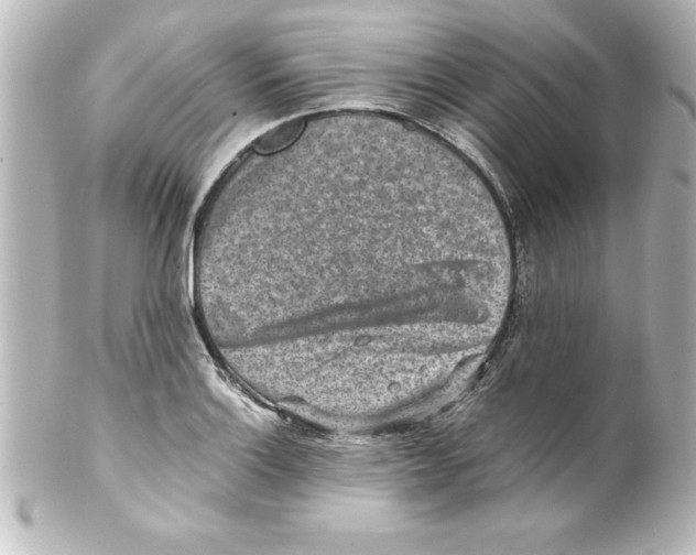 X0000100191132200806271612