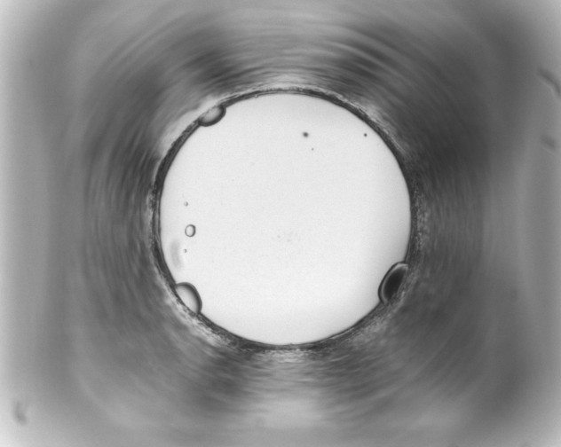 X0000100191134200806271612