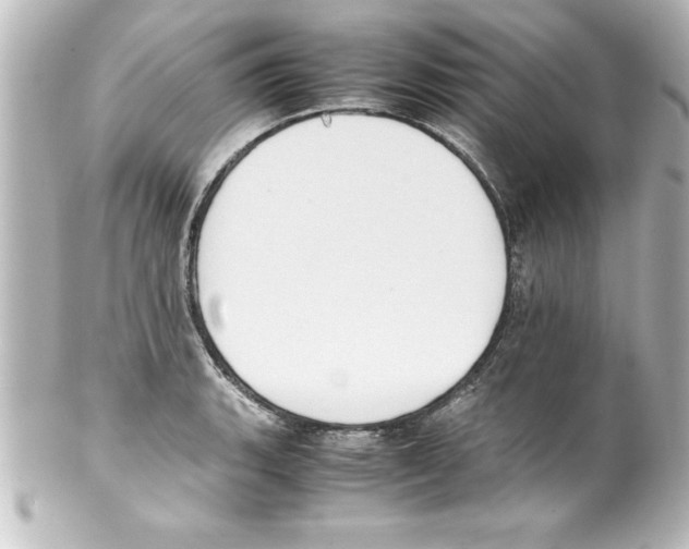 X0000100191135200806271612