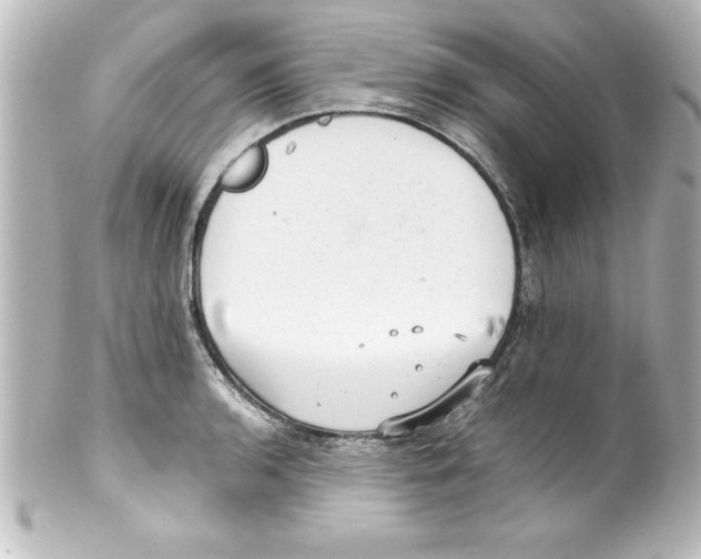 X0000100191136200806271612