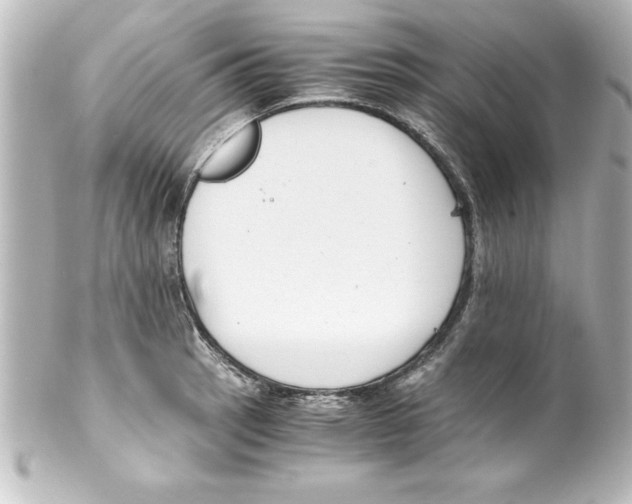 X0000100191137200806271612