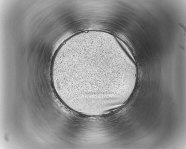 X0000100191138200806271612