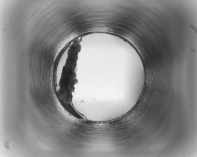 X0000100191139200806271612