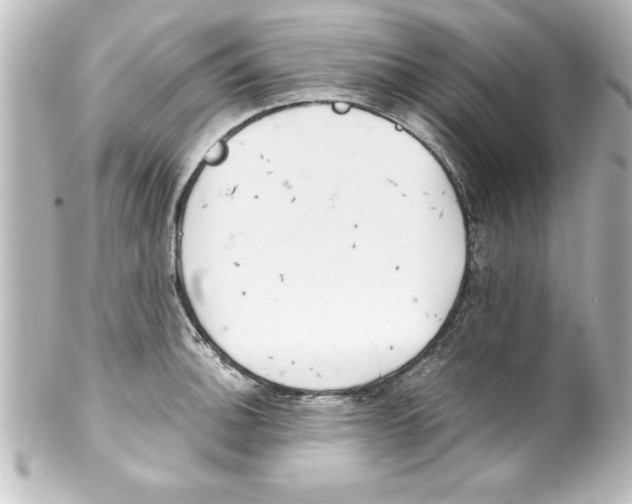 X0000100191140200806271612