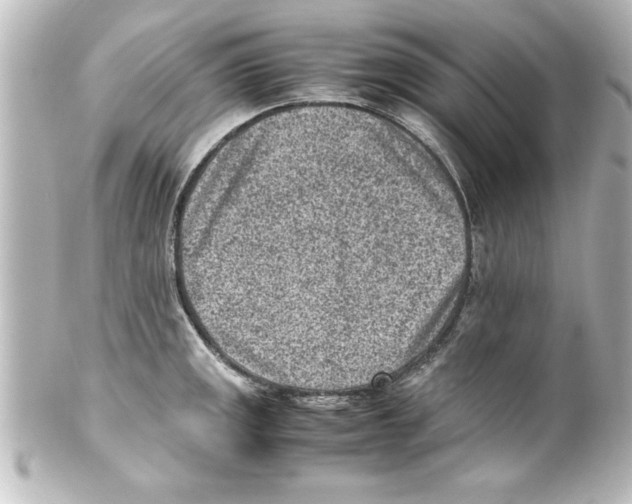 X0000100191141200806271612