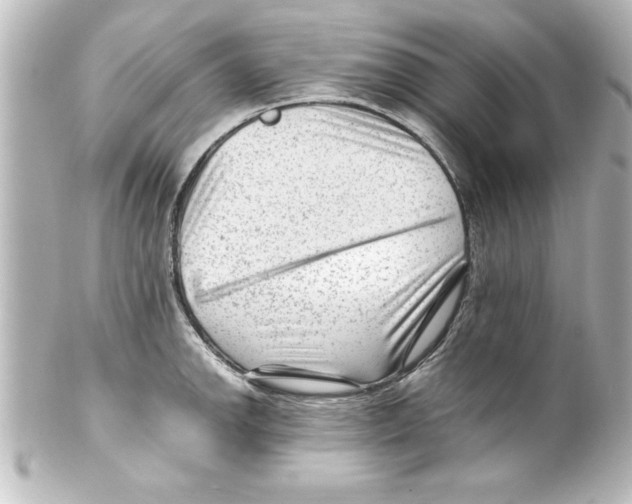 X0000100191142200806271612