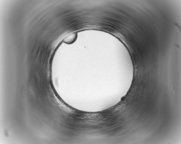 X0000100191143200806271612