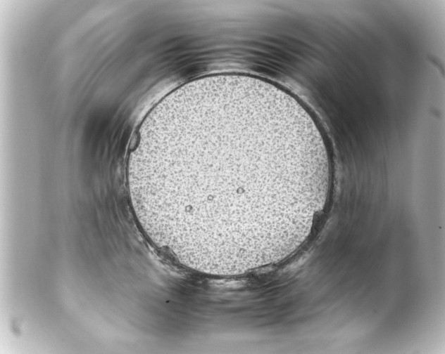 X0000100191145200806271612
